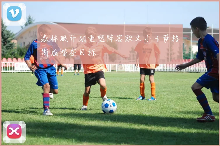 森林狼计划重塑阵容欧文小卡萨格斯成潜在目标