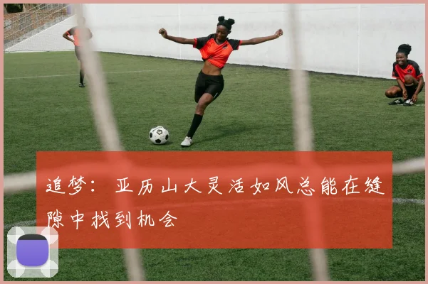 追梦：亚历山大灵活如风总能在缝隙中找到机会